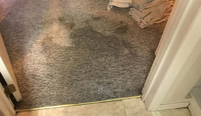 Water Damaged Carpet Repair Service in DFW