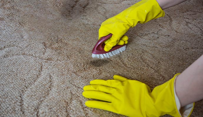 Professional carpet cleaning service