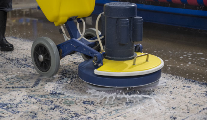 Area rug cleaning