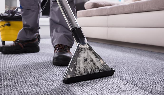 professionally carpet cleaning in Anna